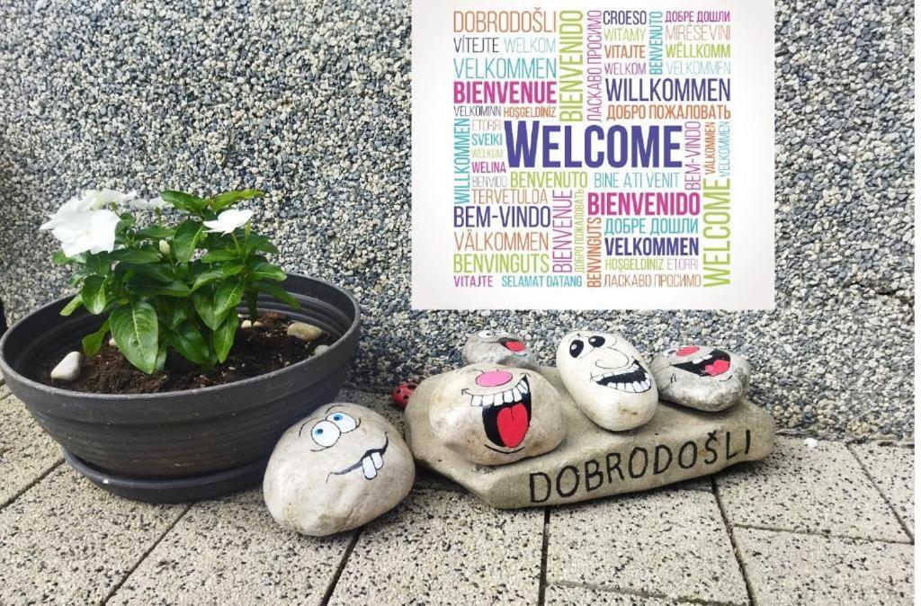 Apartma Vojvoda 보히니 외부 사진