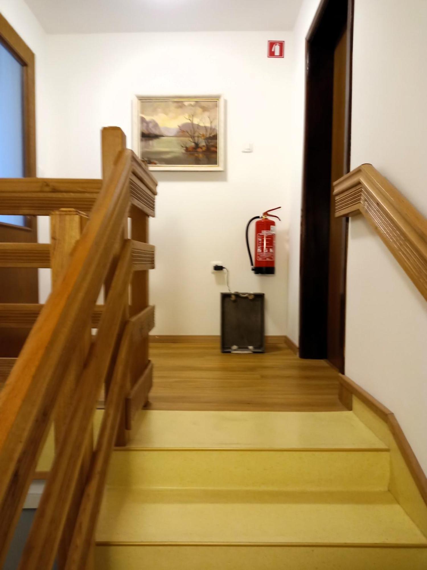 Apartma Vojvoda 보히니 객실 사진