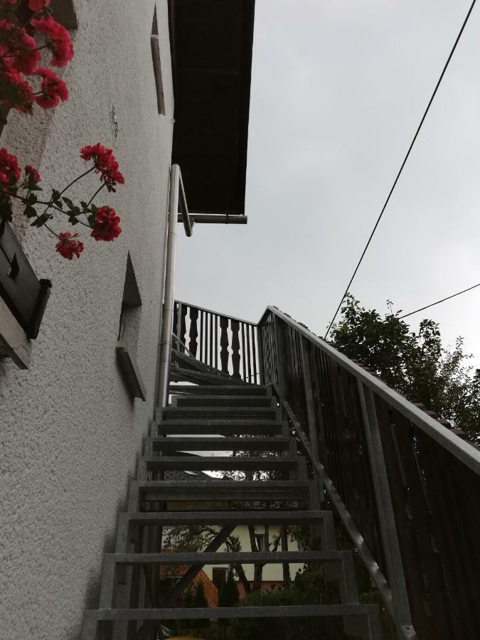 Apartma Vojvoda 보히니 외부 사진